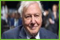 David Attenborough Net Worth, Age, Height, Bio, Birthday, Wiki!