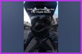 Night Rider Arrested, What Happened To Night Rider?