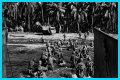 WWII's Most Daring Raids - Smithsonian Channel